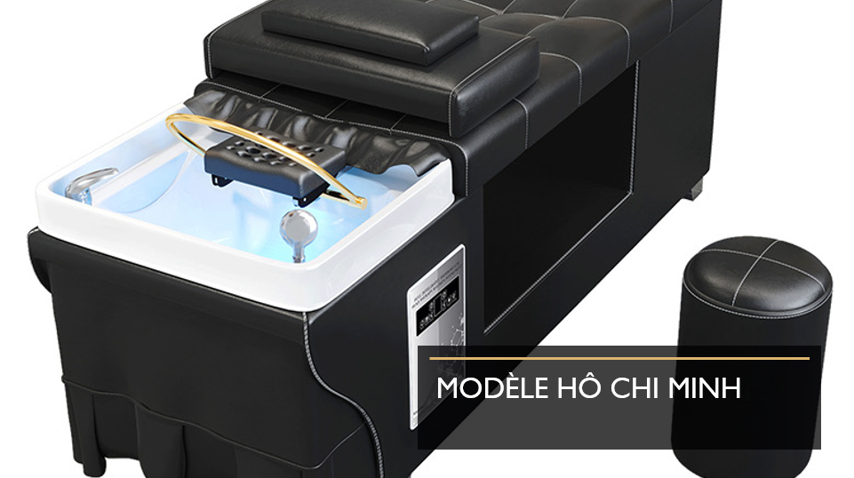 Modèle Hô Chi Minh