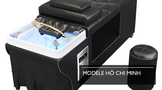 Modèle Hô Chi Minh